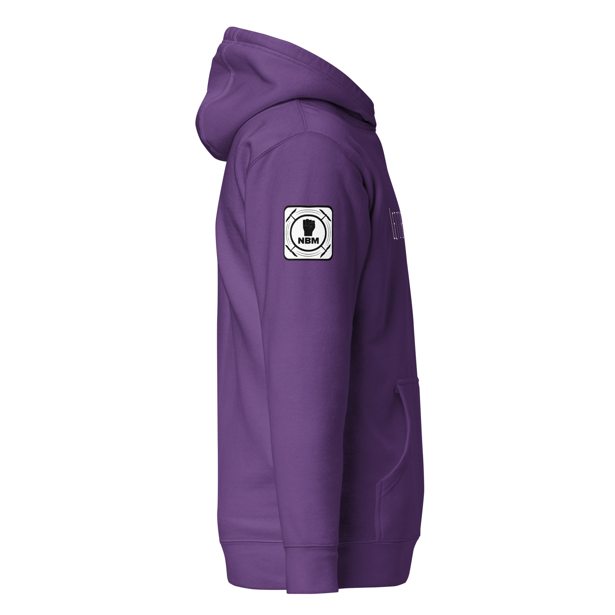 unisex-premium-hoodie-purple-right-65a01b43d045b.jpg